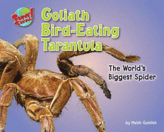 Goliath Bird-Eating Tarantula: The World's Biggest Spider
