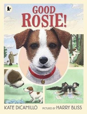 Good Rosie! - DiCamillo, Kate