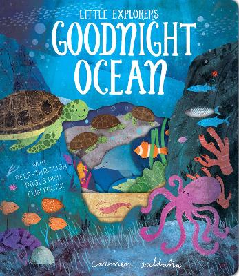 Goodnight Ocean - Davies, Becky