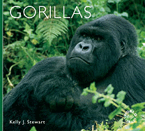 Gorillas