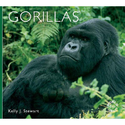 Gorillas - Stewart, Kelly J.