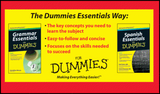 Grammar and Spanish Essentials For Dummies Bundle