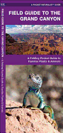 Grand Canyon, Field Guide to the: A Folding Pocket Guide to Familiar Plants and Animals