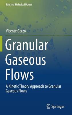 Granular Gaseous Flows: A Kinetic Theory Approach to Granular Gaseous Flows - Garz, Vicente