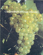 Grape Diseases