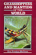 Grasshoppers and Mantids of the World