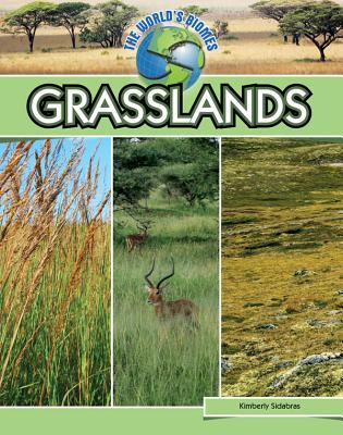 Grasslands - Sidabras, Kimberly