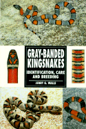 Gray Banded Kingsnakes - Walls, Jerry G