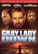Gray Lady Down - David Greene