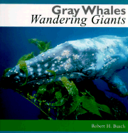 Gray Whales, Wandering Giants - Busch, Robert H