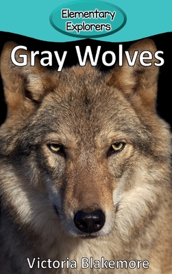 Gray Wolves - Blakemore, Victoria