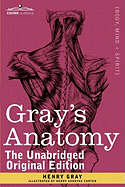 Gray's Anatomy: Descriptive and Surgical