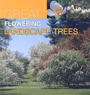 Great Flowering Landscape Trees