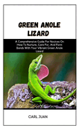 Green Anole Lizard: A Comprehensive Guide For Novices On How To Nurture, Care For, And Form Bonds With Your Vibrant Green Anole Lizard