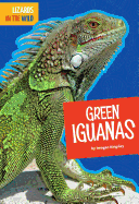 Green Iguanas