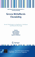 Green Metathesis Chemistry: Great Challenges in Synthesis, Catalysis and Nanotechnology