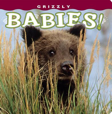 Grizzly Babies! - Holdsworth, Henry H (Photographer)