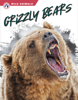 Grizzly Bears - Hamby, Rachel
