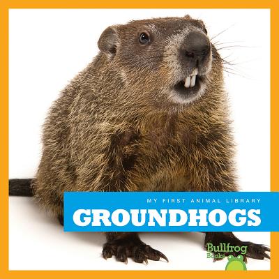 Groundhogs - Meister, Cari