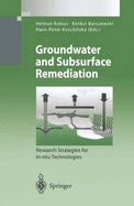 Groundwater and Subsurface Remediation: Research Strategies for In-Situ Technologies