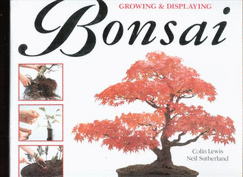 Growing and Displaying Bonsai: A Step-By-Step Guide