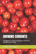 Growing Currants: The beginner's guide to planting currants from varieties to harvesting