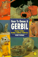 Guide to Owning a Gerbil