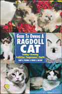 Guide to Owning a Ragdoll Cat
