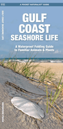 Gulf Coast Seashore Life: A Waterproof Folding Guide to Familiar Animals & Plants