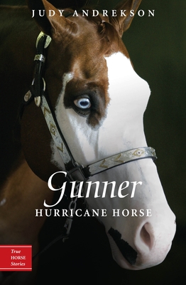 Gunner: Hurricane Horse - Andrekson, Judy