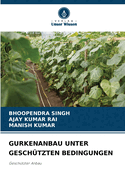 Gurkenanbau Unter Gesch?tzten Bedingungen