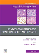 Gynecologic Pathology: Practical Issues and Updates, an Issue of Surgical Pathology Clinics: Volume 12-2