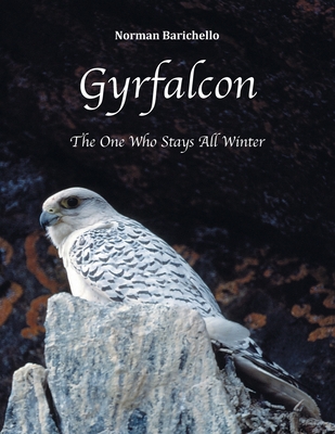 Gyrfalcon: The One Who Stays All Winter - Barichello, Norman