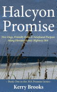 Halcyon Promise: Book One in the 30a Promise Series