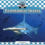 Hammerhead Sharks