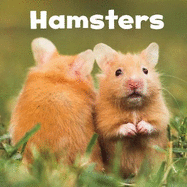 Hamsters