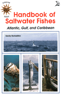 Handbook of Saltwater Fishes: Atlantic, Gulf, and Caribbean