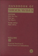 Handbook of Shock Waves - Ben-Dor, Gabi