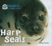 Harp Seals: Animals of the Snow and Ice