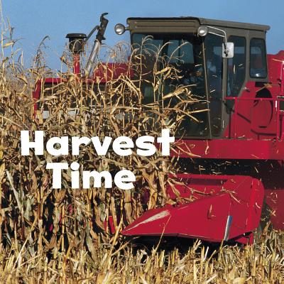 Harvest Time - Shores, Erika L