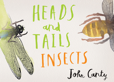 Heads and Tails: Insects - 