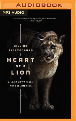 Heart of a Lion: A Lone Cat's Walk Across America - Stolzenburg, William, and Delgaudio, Mike (Read by)
