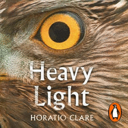 Heavy Light: A Journey Through Madness, Mania and Healing