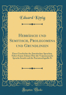 Hebrisch und Semitisch, Prolegomena und Grundlinien: Einer Geschichte der Semitischen Sprachen, Nebst Einem Exkurs ber die Vorjosuanische Sprache Israels und die Pentateuchquelle Pc (Classic Reprint)