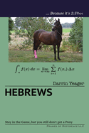 Hebrews: Stay in the Game, but You Still Don't Get a Pony