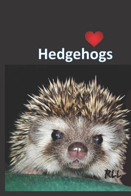 Hedgehogs: A lined notebook with fun facts about hedgehogs - Methven, Marilynn