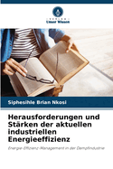 Herausforderungen und St?rken der aktuellen industriellen Energieeffizienz