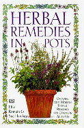 Herbal Remedies in Pots