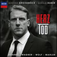 Herz-Tod - Gerold Huber (piano); Gnther Groissbck (bass)