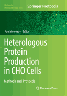 Heterologous Protein Production in Cho Cells: Methods and Protocols